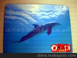 各種平面入油鼠標(biāo)墊 美觀大方 工藝獨(dú)特圖片