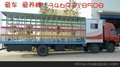 厂价直销楚风养蜂车 养蜂车价格 宏宇专汽 楚风汽车 移动养蜂车