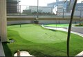供应GOLFKING仿真果岭