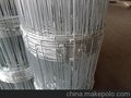 草原隔离网、草原牛栏网、草原围网