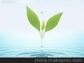 供应其他FF-017淋巴排毒精油