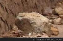 供應(yīng)鉆井專用泥漿膨潤(rùn)土圖片