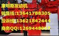 供应玉柴YC85,YC135康明斯发动机总成/发动机配件