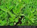 无锡宜澄化学有限公司 WUXI YICHENG CHEMICAL CO.,LTD
