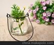 特价 日系简约南瓜玻璃铁线吊瓶花瓶 水培南瓜瓶 只赚销量