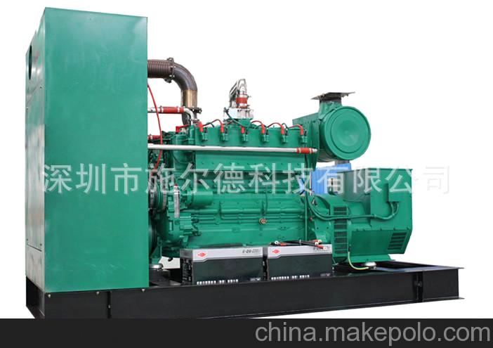 200KW 雙燃料發(fā)電機(jī)組