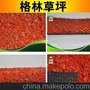 格林热销 学校跑道专用草，高密度草，跑道专用草坪