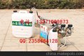 苹果树/梨树/山楂树打药烟雾机6HYC-100C双化油器自动启动弥雾机