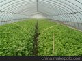 供应led植物灯led芹菜补光灯植物补光灯