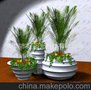 玻璃钢花盆花器, 现代花盆, 高档花盆, 广东花盆