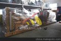 300上柴发电机组-厂家让利，销量同行