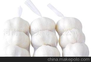 /ڼҎ(gu)/garlic