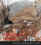 草坪石 草坪石基地 草坪石价格 草坪石