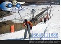 供应雪酷多种型号拖牵式索道  索道价格 索道厂家