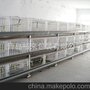 新养殖设备 高强度塑料鸡笼组合