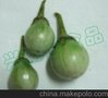 泰国进口 泰式新鲜小圆茄 1kg