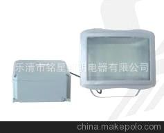 ޹˾YUEQING MINGXING LIGHTING & ELECTRICAL APPLIANCES CO.,LTD