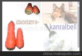 供应宠物食品原料脱水水果胡萝卜粉/颗粒